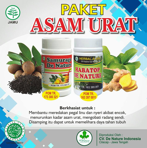 Obat Asam Urat